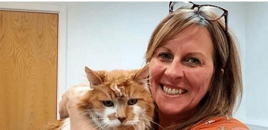 貓咪撓人腳心_貓咪三歲半相當于人幾歲_貓咪撲人是什么意思