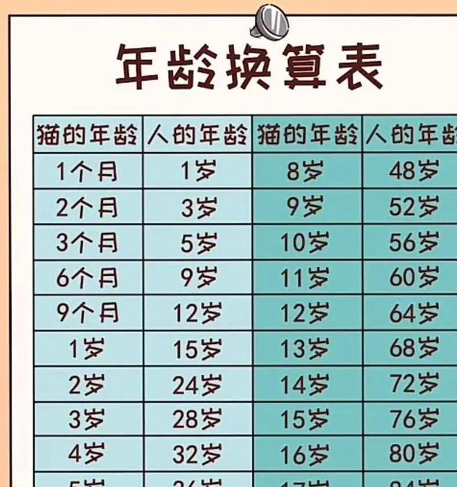 貓咪撓人腳心_貓咪三歲半相當于人幾歲_貓咪撲人是什么意思
